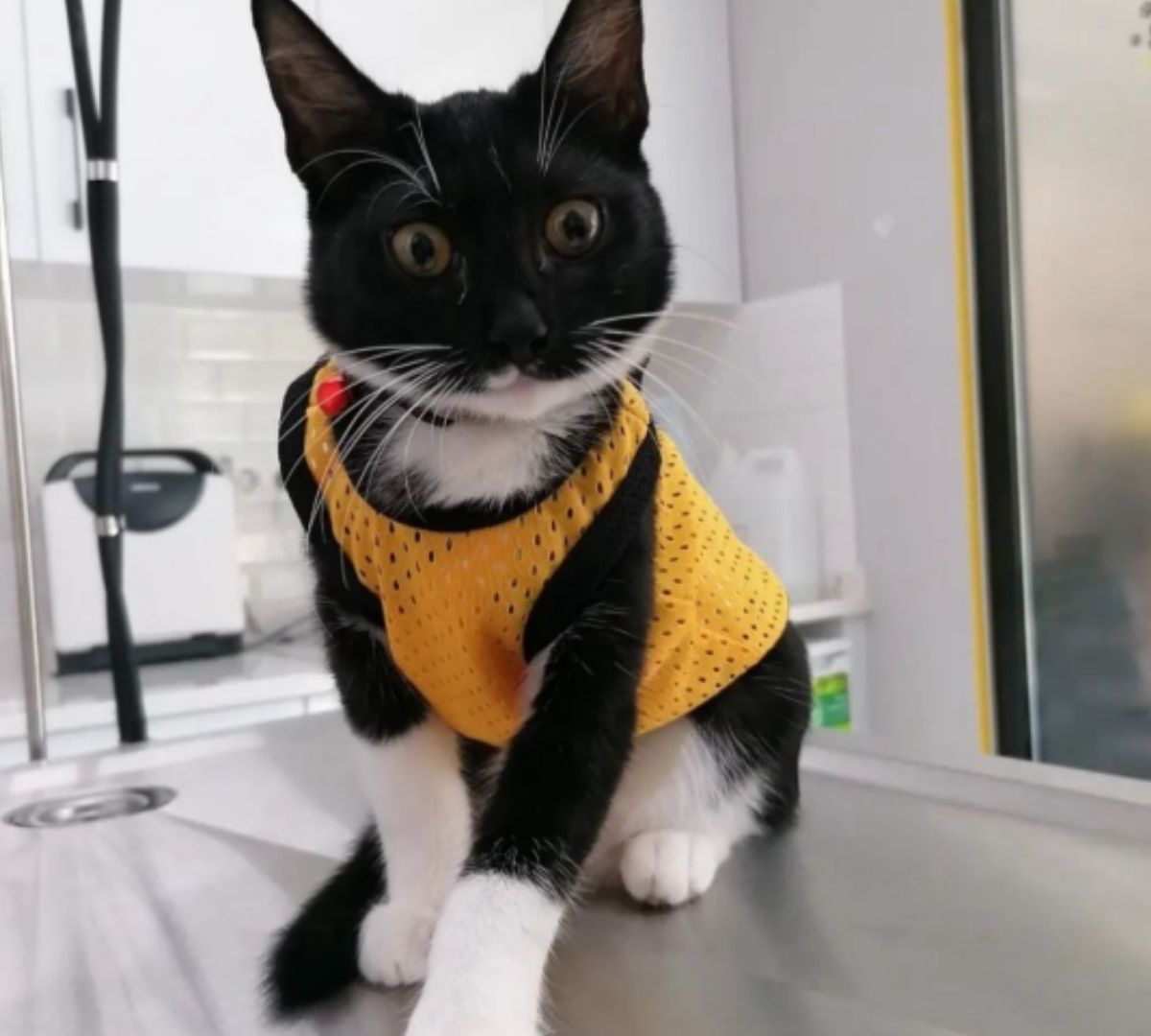 Kliniğimizin modern ve ferah ortamı