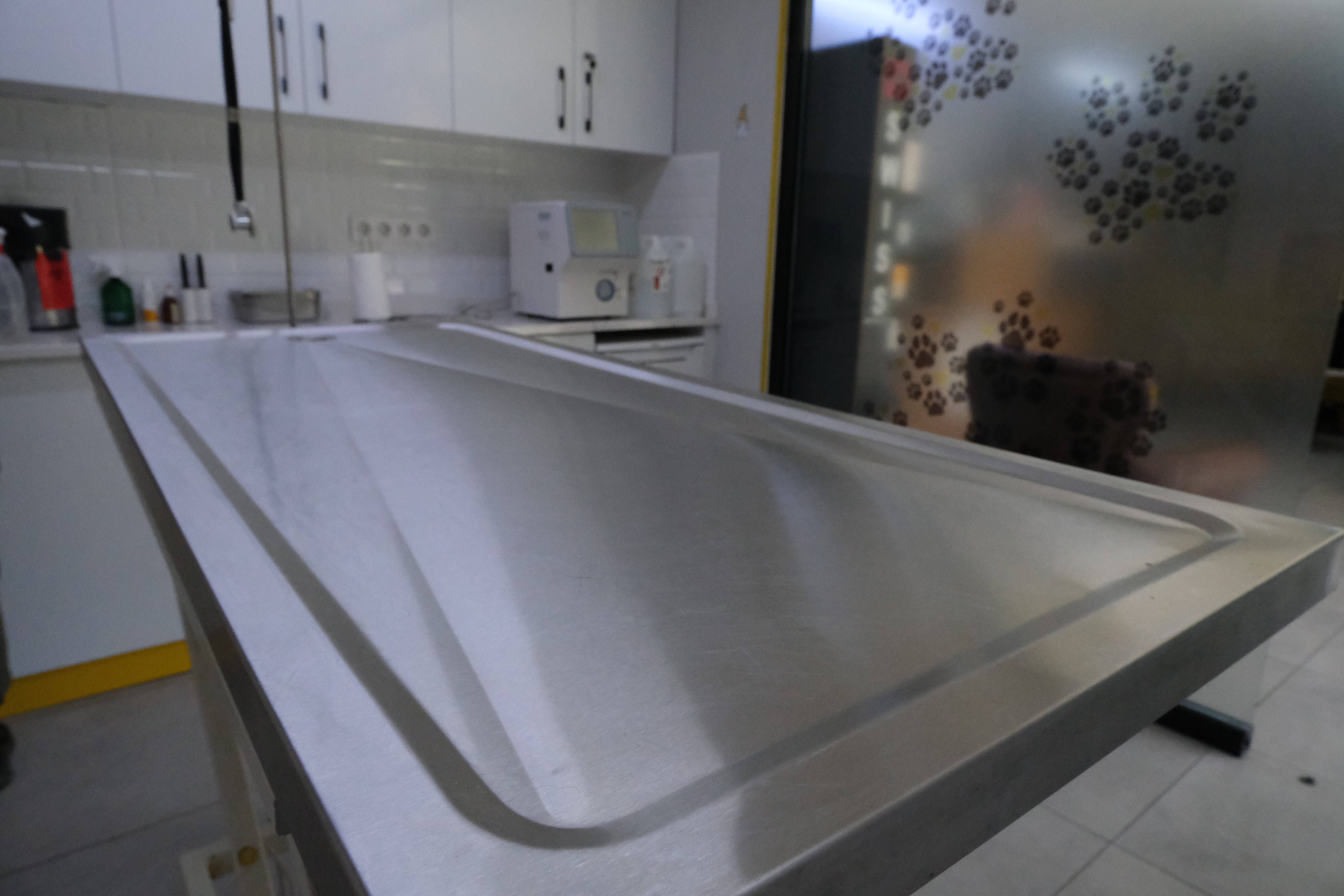 Veterinary team preparing for a procedure